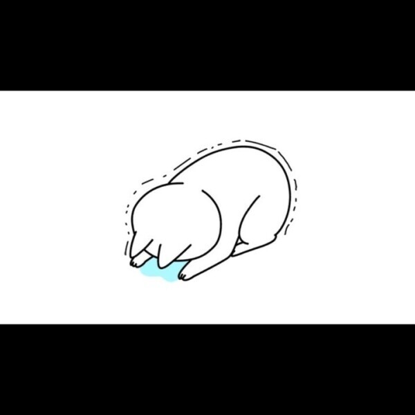 5/4時間変更です🙇‍♀️