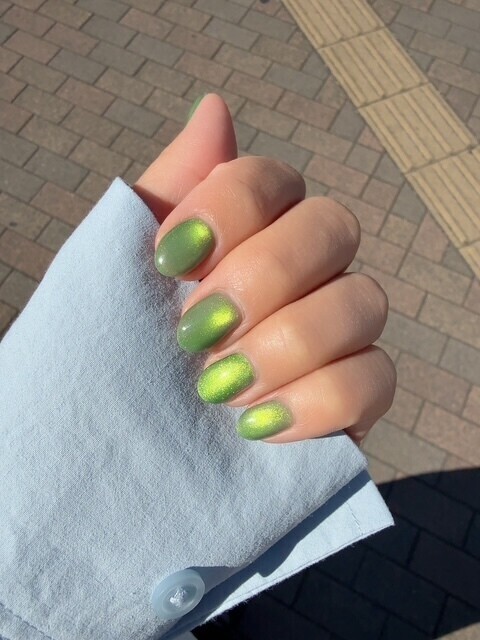 キラキラ💚