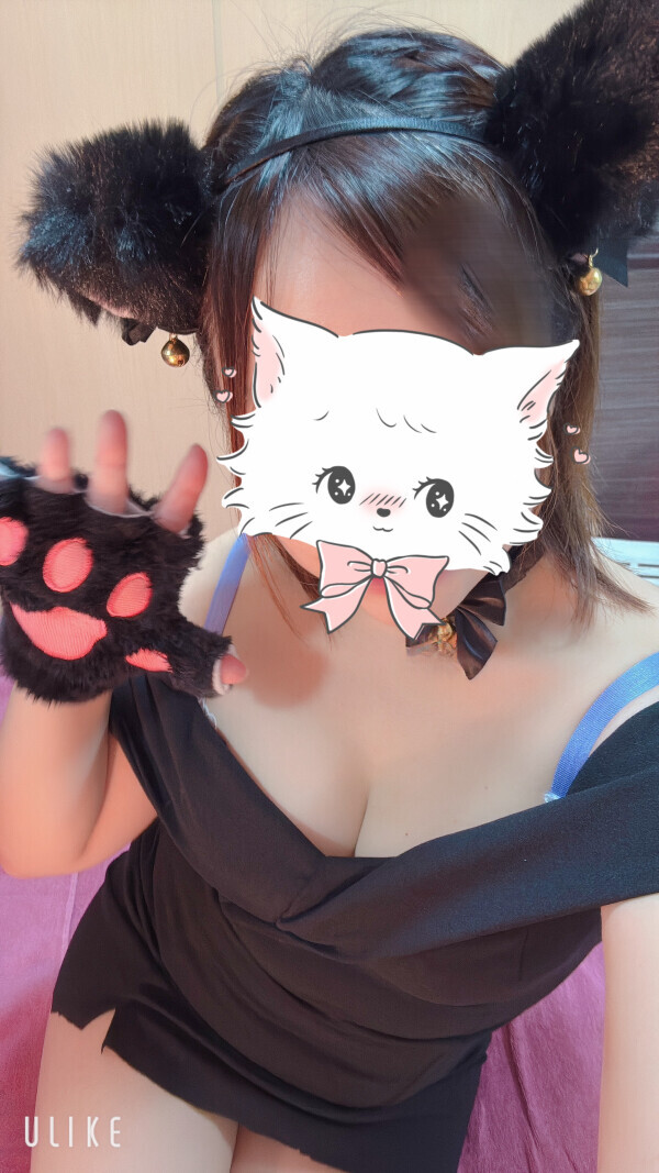 にゃーん🐾💖