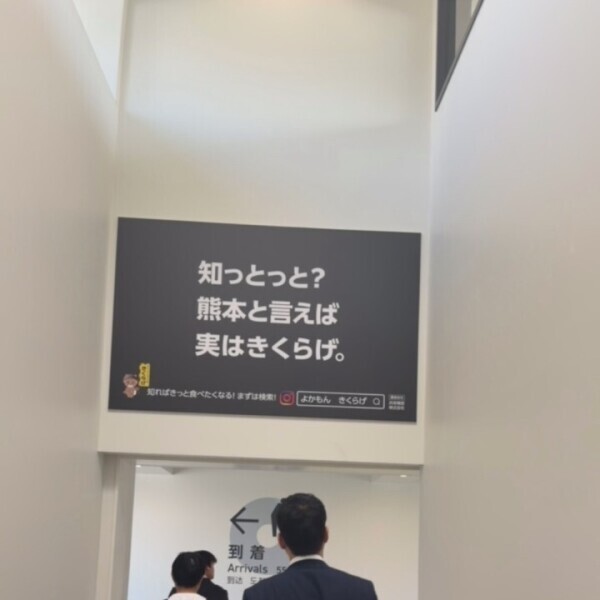 熊本初上陸✈️