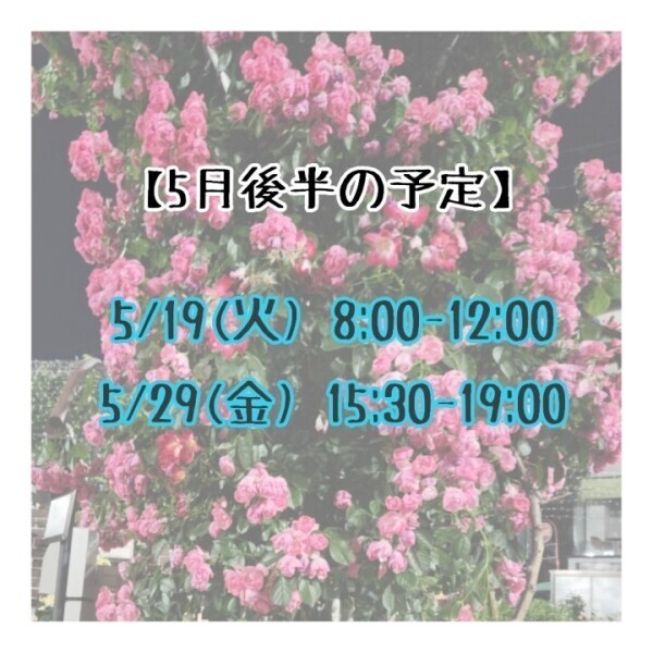 【5月後半‼️】