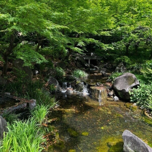出勤