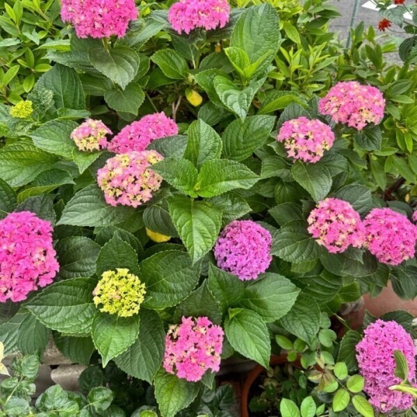 明日明後日🥹💕