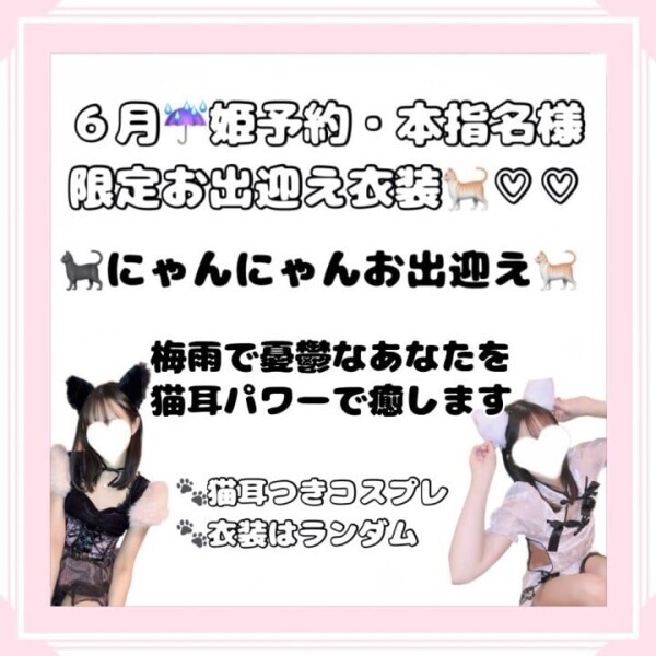 6月にゃんにゃんイベント🐈‍⬛