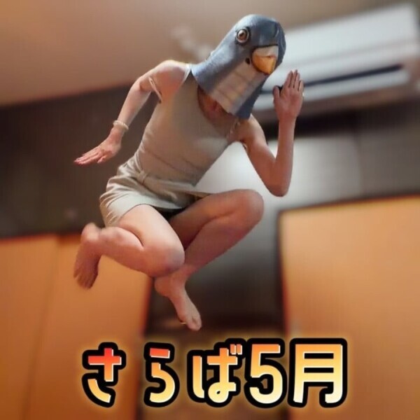 5月完走！！！
