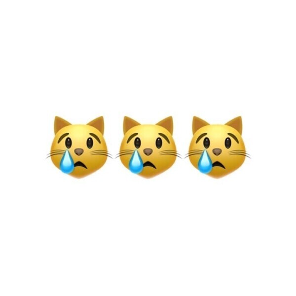 明日もお休みをいただきます🙇🏻‍♀️