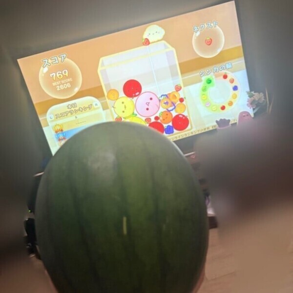 🍉📸🎮