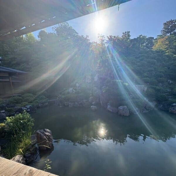 (  ¯꒳​¯ )ᐝ