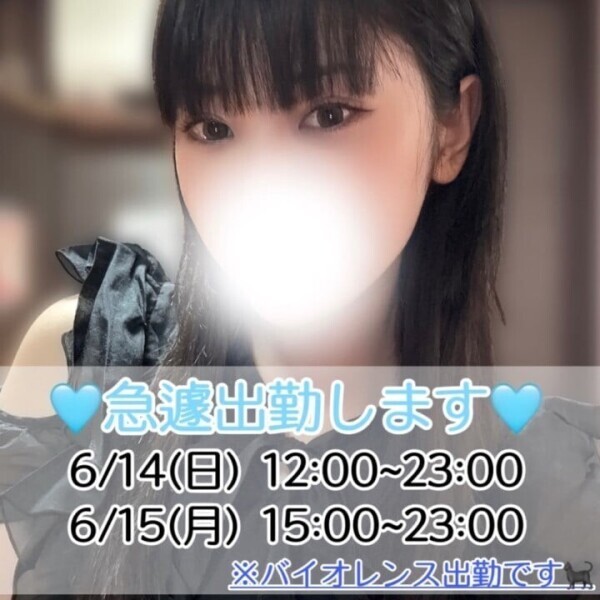 【急遽2日間出勤します🐈‍⬛🐾】
