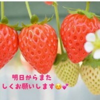 おりえ