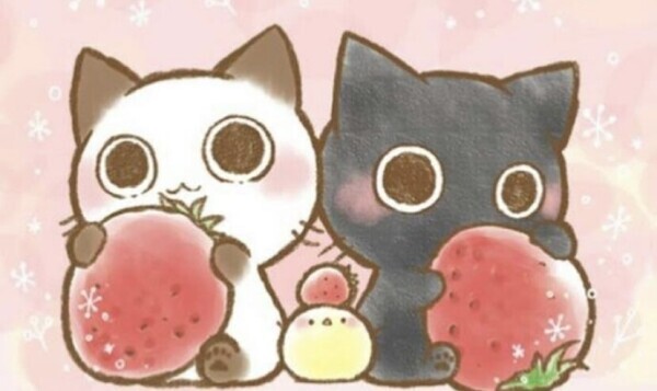thank you(*´꒳`*)