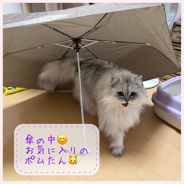 木曜日 。