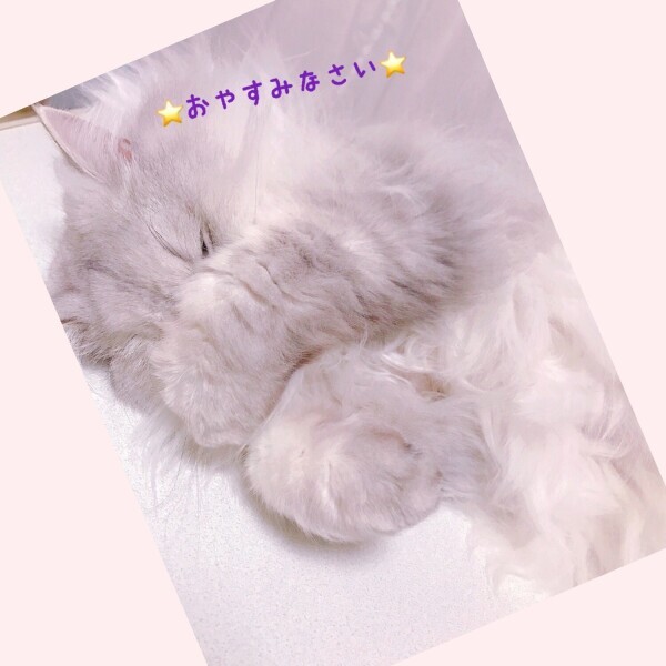 おやすみなさい