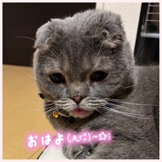 image0.jpeg