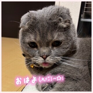 金曜日