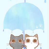 まゆ