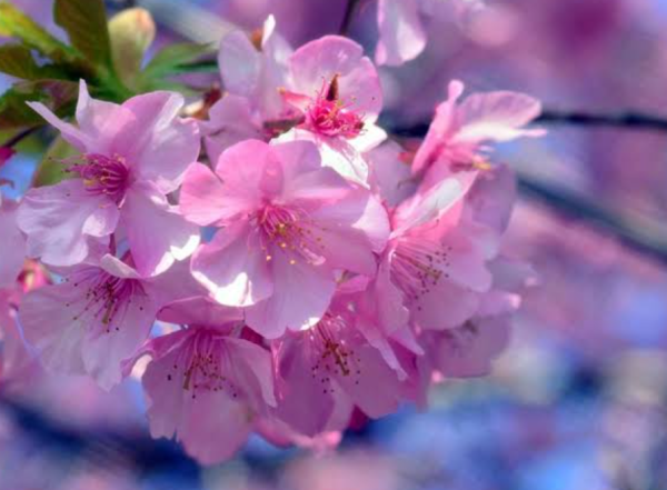 午後もお待ちしております♡