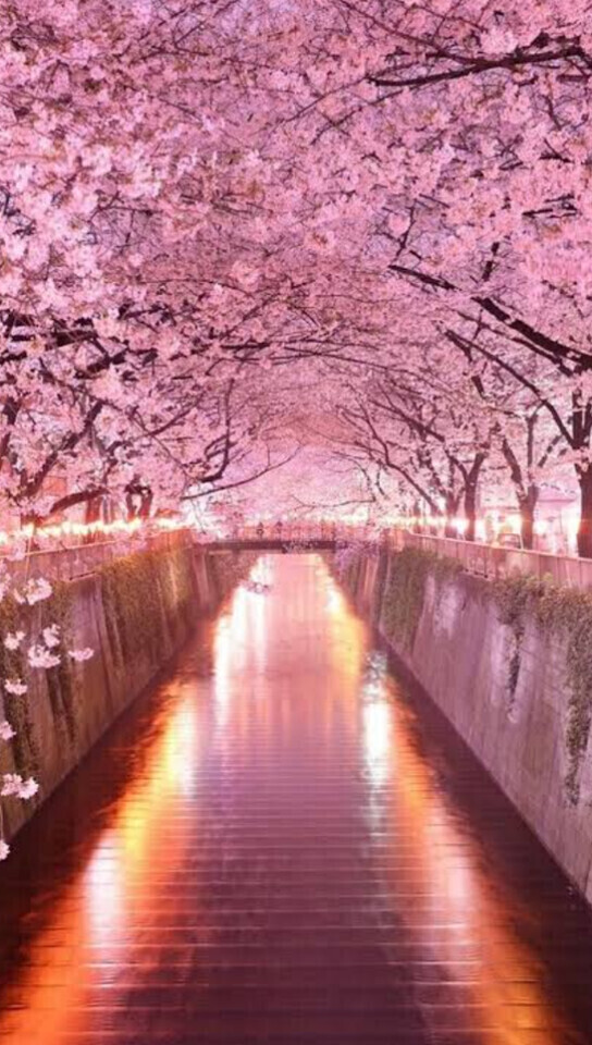 明日出勤します♡