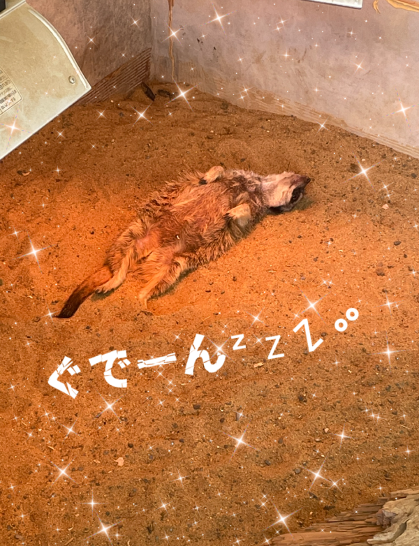 ゆっくり𝑫𝑨𝒀❤️