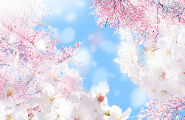 明日出勤します♡