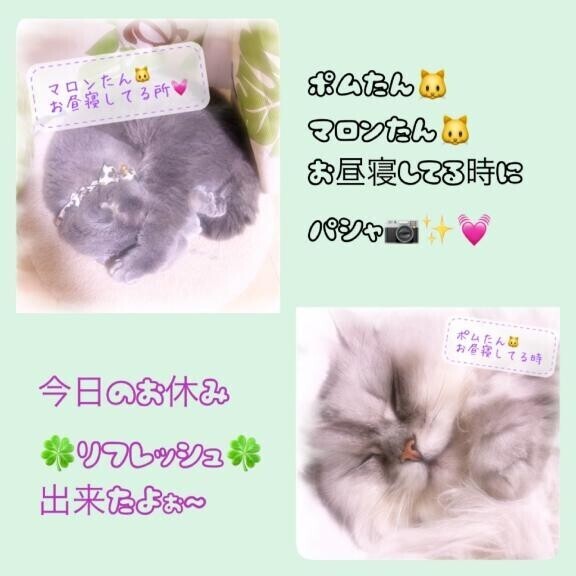 ?リフレッシュ?