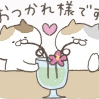 まゆ