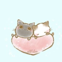 まゆ