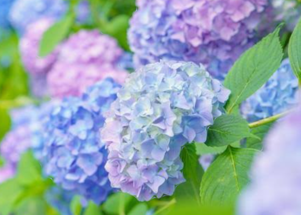 明日出勤します♡