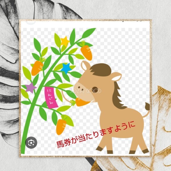 白川です🌹