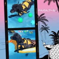 白川
