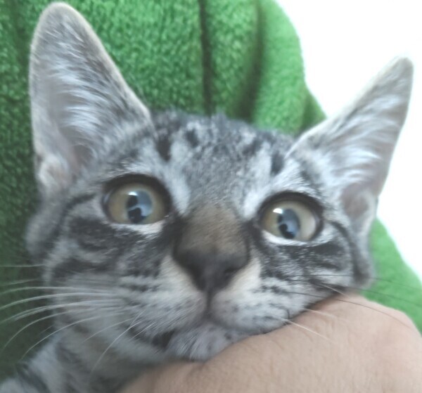 申し訳ありません🥲