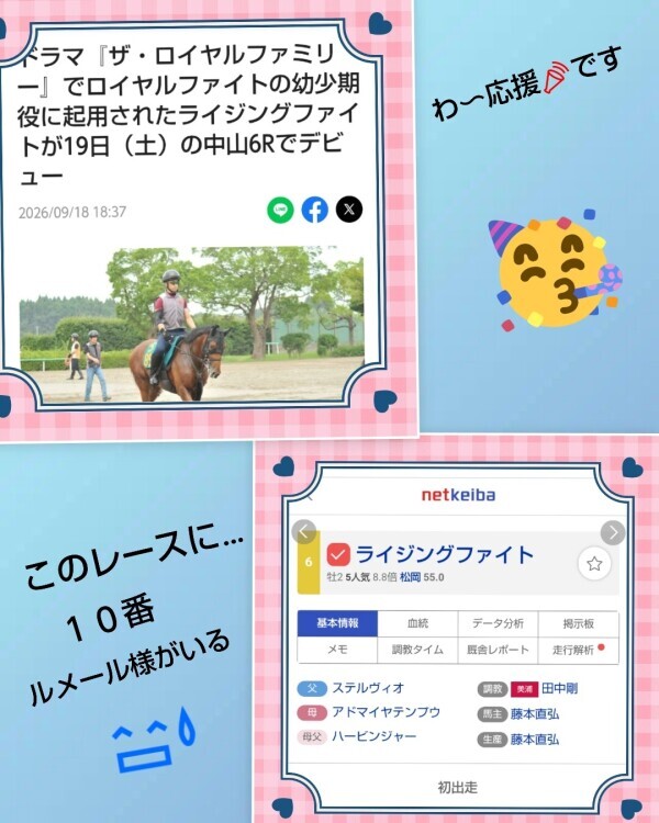 白川です🌹