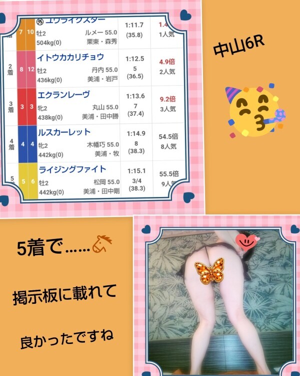 白川です🌹