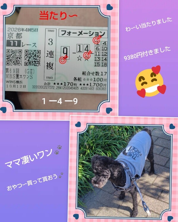 白川です🌹