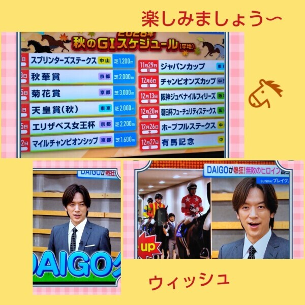 白川です🌹