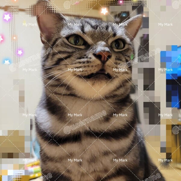 ごめんなさい変更です(^_ _^)
