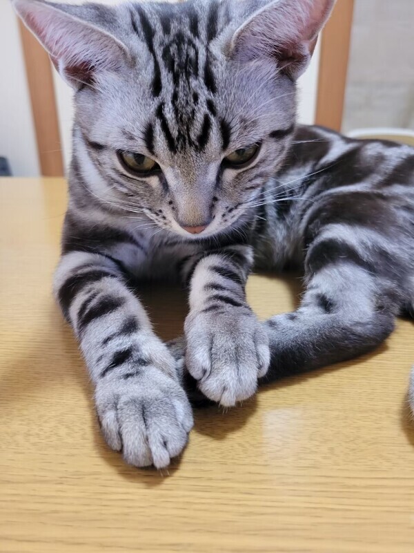 すみません(;_;)
