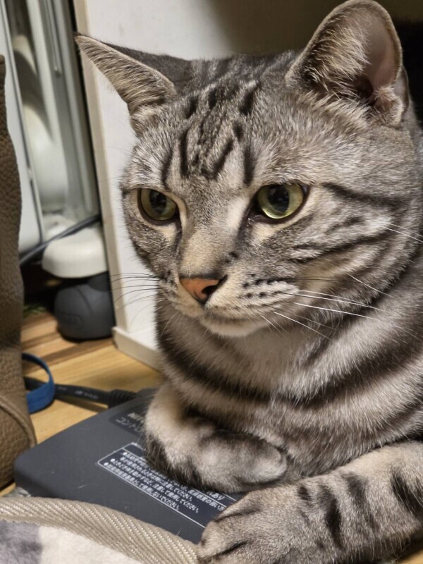 身も心も寒い((((；ﾟДﾟ))))