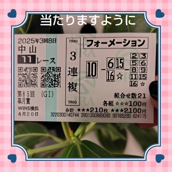 白川です🌹