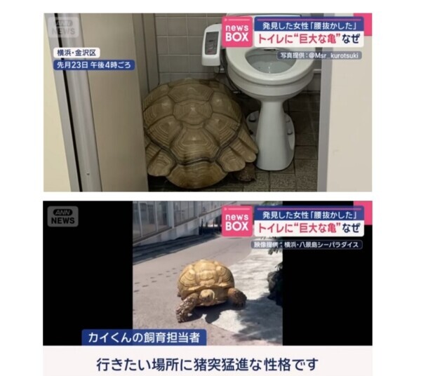 さんぽ