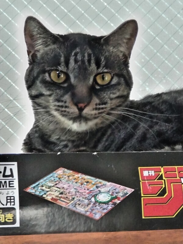 ひと休み