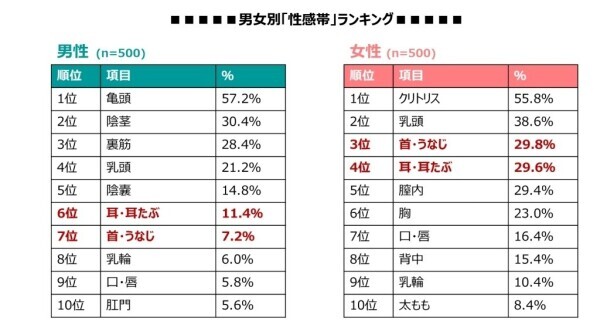 紳士様の性感帯は？