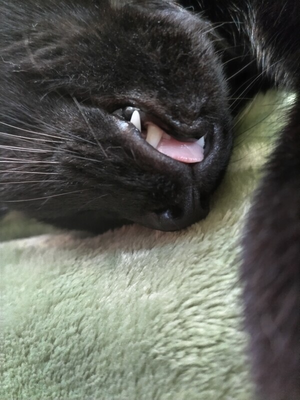 申し訳ありません