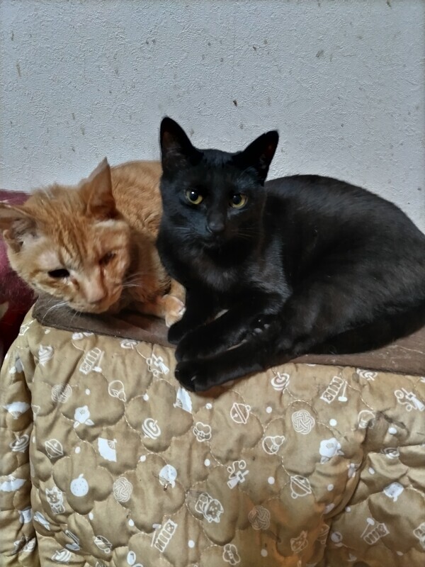 お疲れ様でした