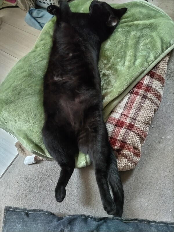 申し訳ありません