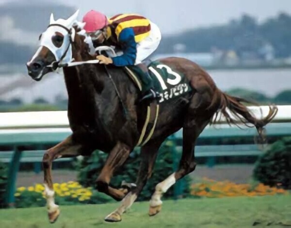 絶対競馬好きなら絶対ハマります！！