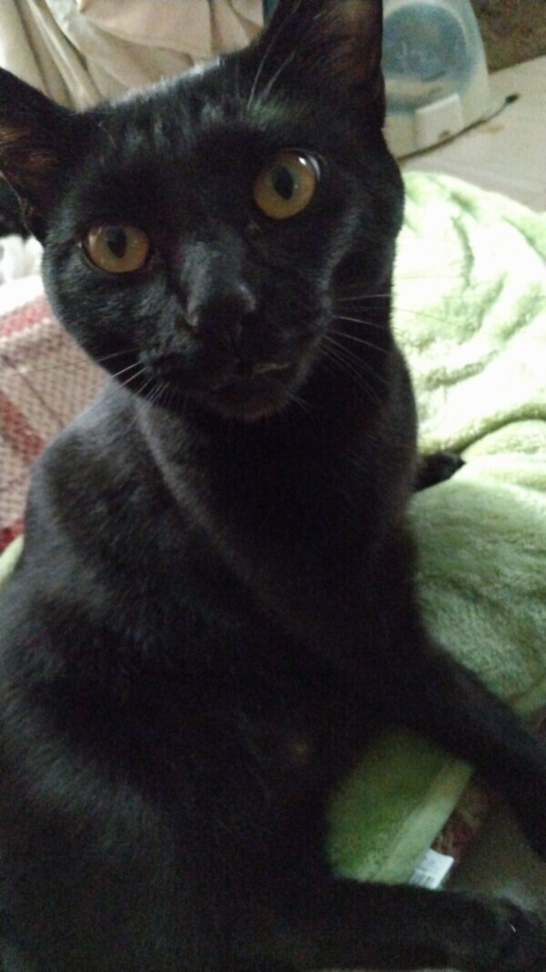 申し訳ありません