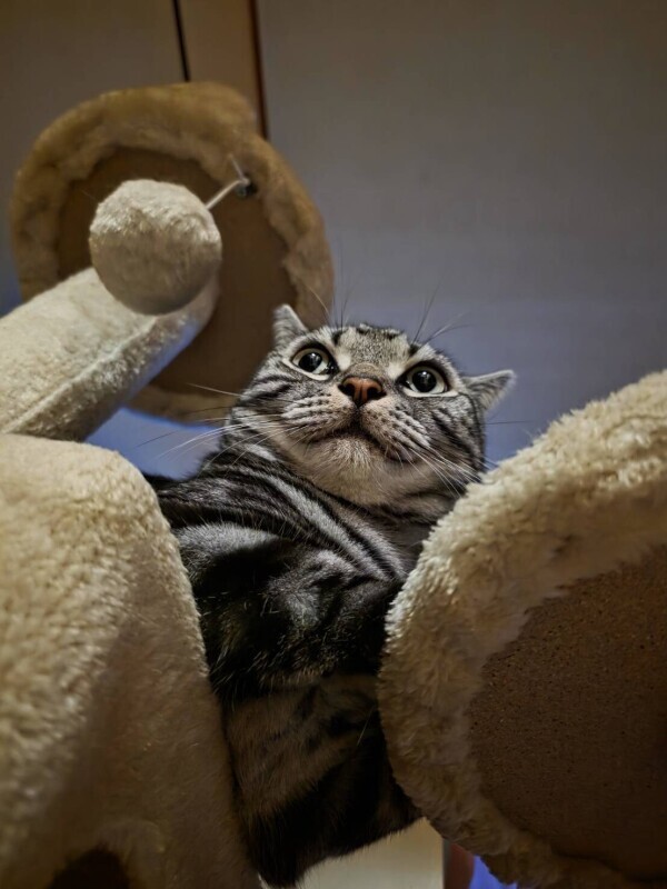 なんじゃこりゃの1年💦