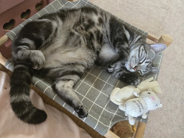 寒いィィ((((；ﾟДﾟ))))