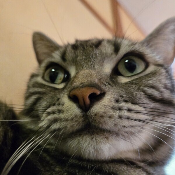 ( 」´0`)」Oh nooo!!!の巻